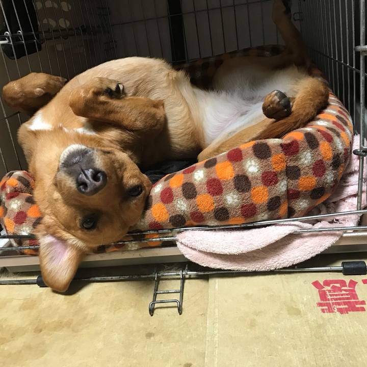 5331cb32 5f47 4f94 a463 e35e4d2c2108 1544053210366