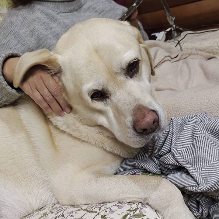 533202b4 98f6 4c38 9802 872b014c9035 1734095854057