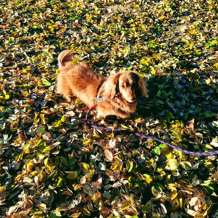 5332089f 0e9d 4176 b1b2 8758d731350f 1701648741002