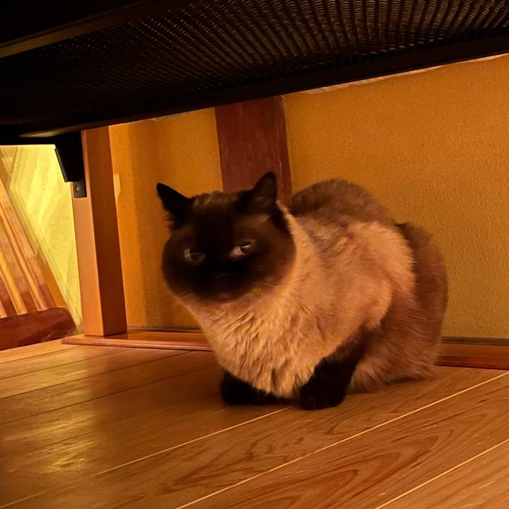 53322826 bc85 4eb5 9a34 7a31083328c9 1752491779345