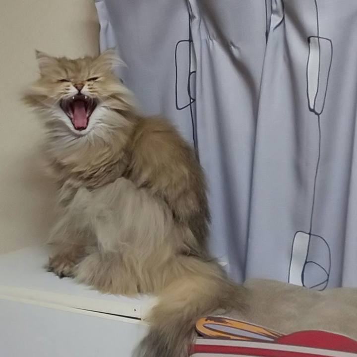 533248b5 c4c4 4286 b9a3 635e0d3230f4 1617150340547