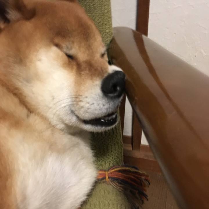 53326583 942f 474d baed 11d456938565 1555686455531