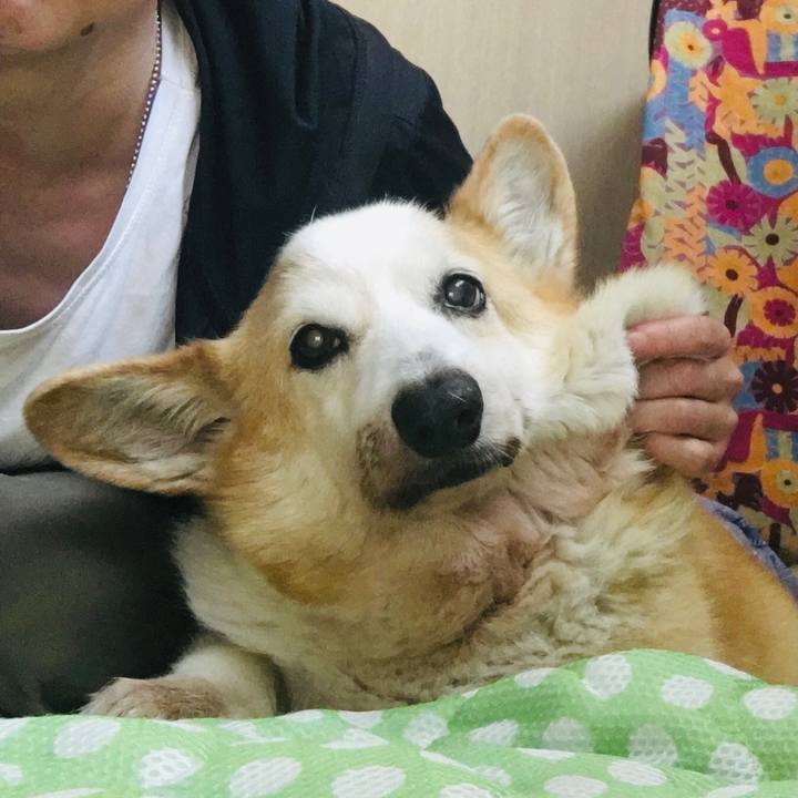 5332794b 2612 413c 987b 6b5702d51757 1558049800614