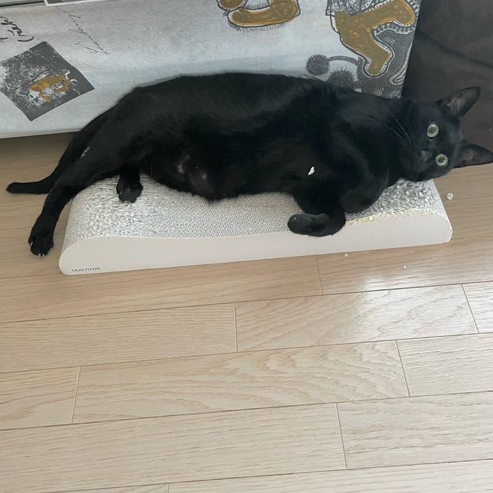 53328d50 6a39 459b 8816 2a346b71f2b0 1692094363657