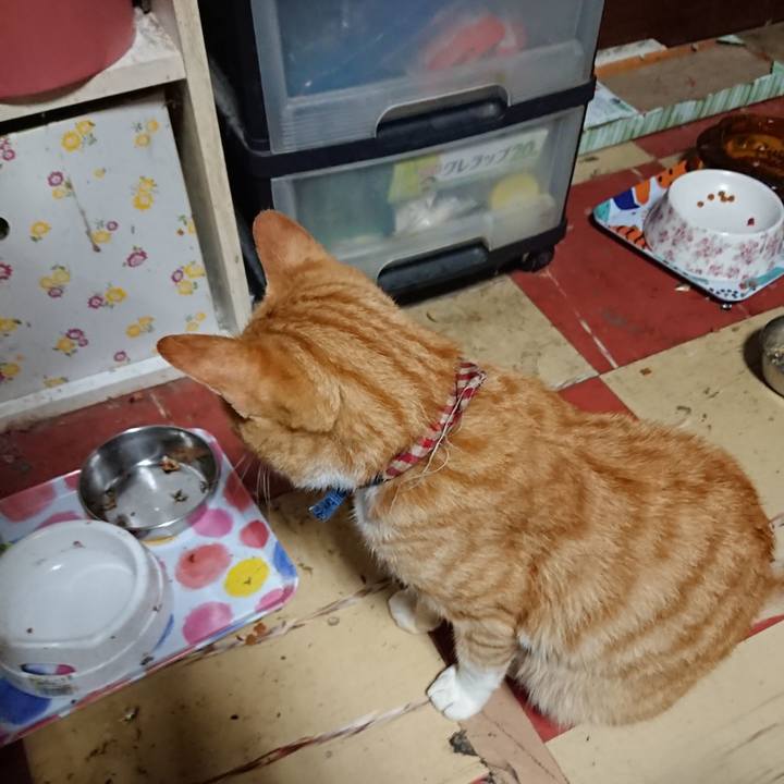 5332b544 7df5 4ffd 9857 46c83e4654c0 1563479839602