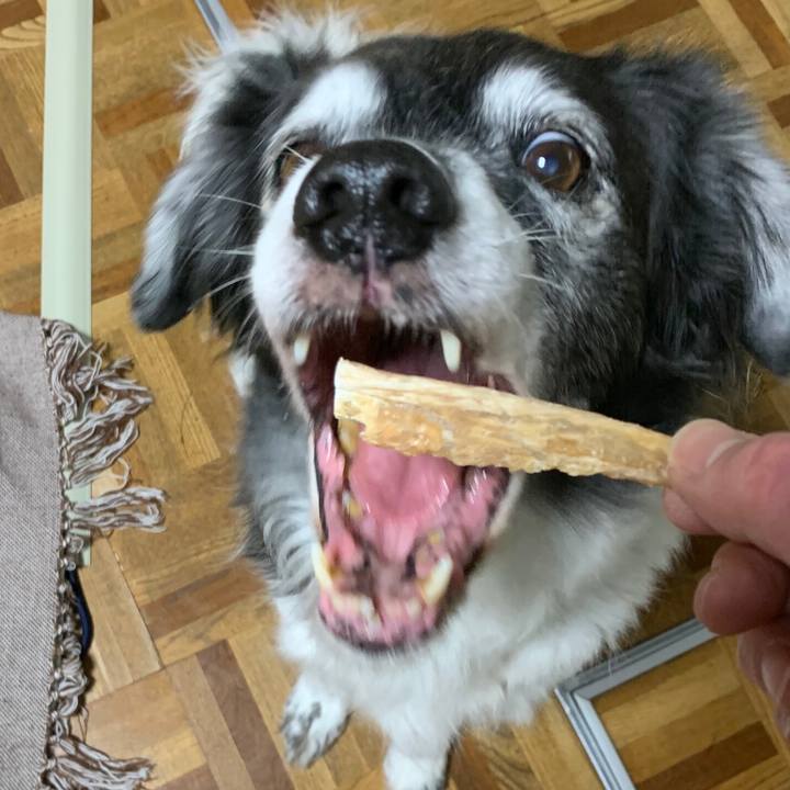 5332f5e0 9a2c 4626 9b84 ee3c3839d42d 1579933229880