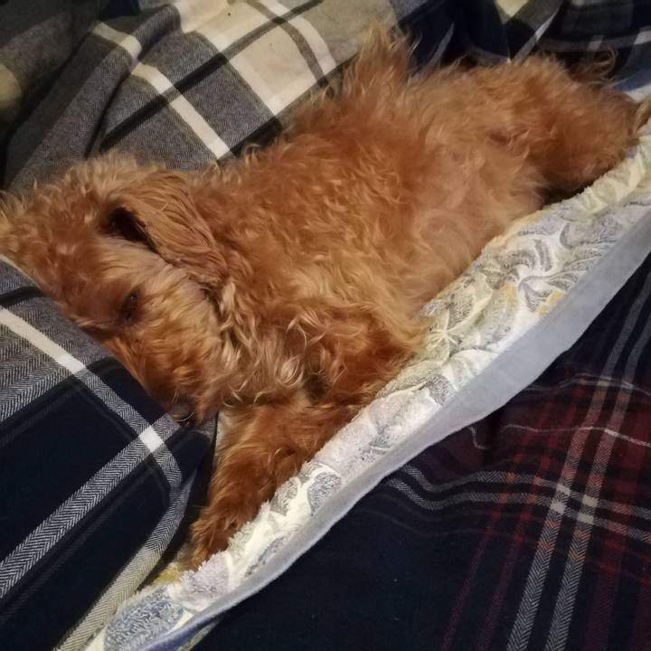 533304b3 6c75 4c48 90d8 df18d5b41c66 1576762754091