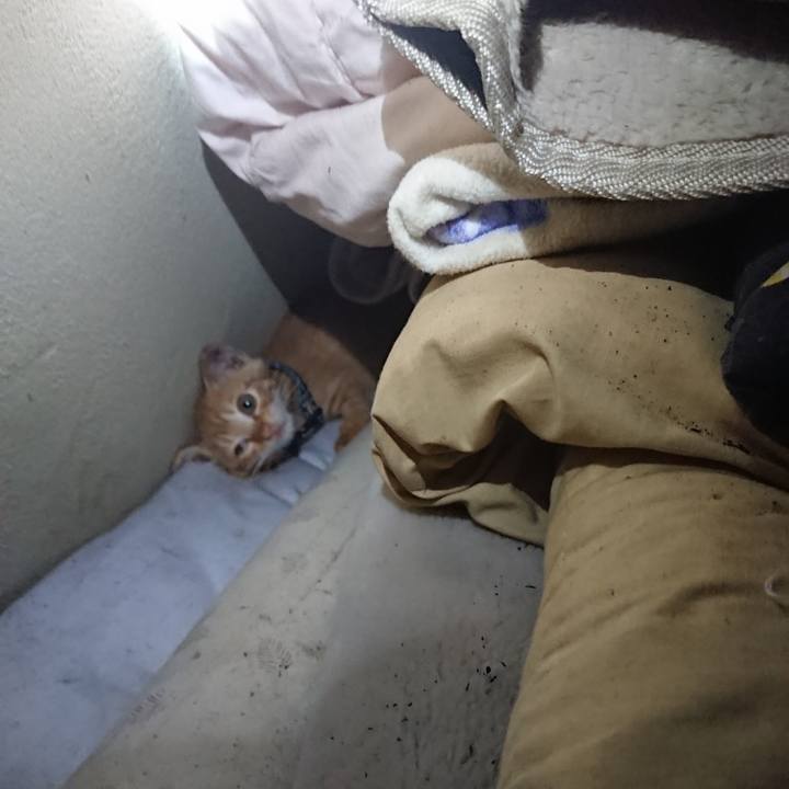 533327a0 52e8 450b b67c 6cf220574122 1627959094879