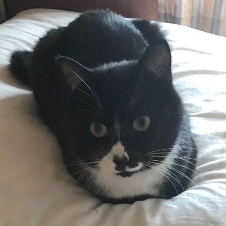 53333d00 d70f 47e2 883b d70aa533d970 1560065803616