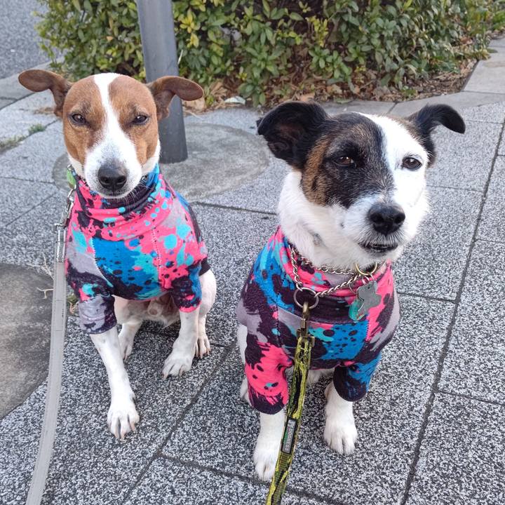 5333643f 6752 4bad adfc 7a238e85f2c6 1676933392361