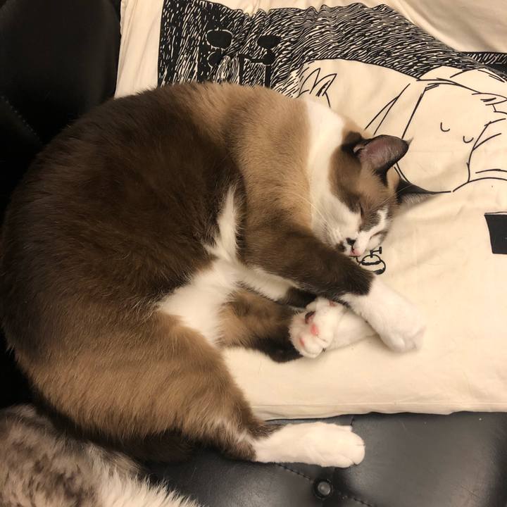 533386f2 fc92 4e27 9967 02765b846abd 1598764784733