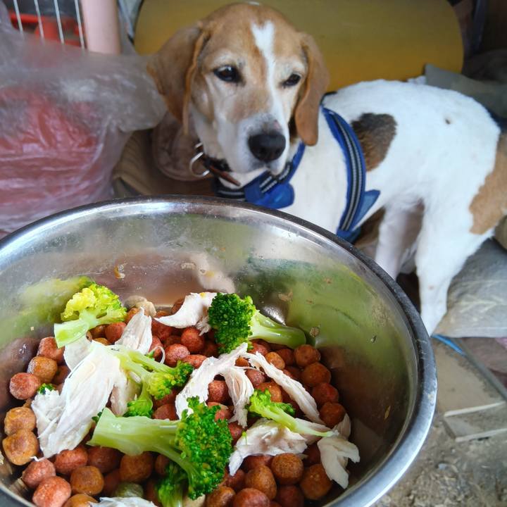 53338981 81bd 44be 9f06 5bdbf1324c8b 1743738649139