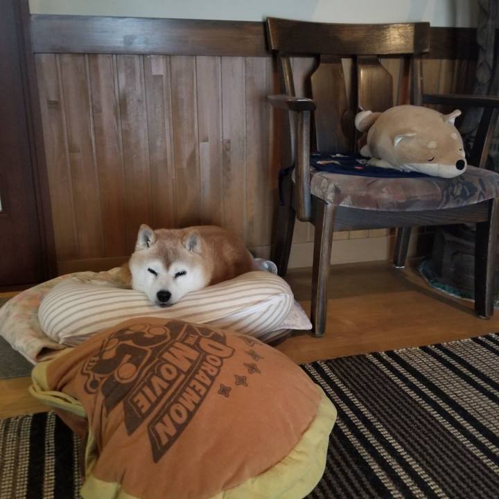 53339c41 0b9d 4198 9d56 ea737654754a 1741999360499