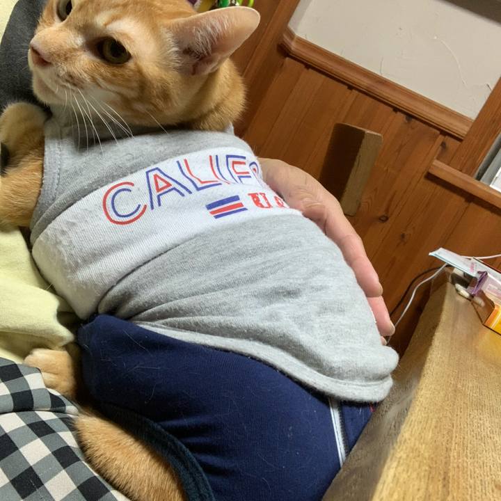 5333ad4b 719b 48b8 9325 75072b10368a 1603541514749