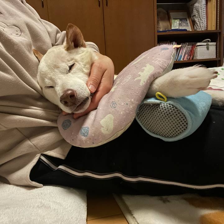 5333fa08 5eb3 49e6 9754 74f256861945 1672006574878