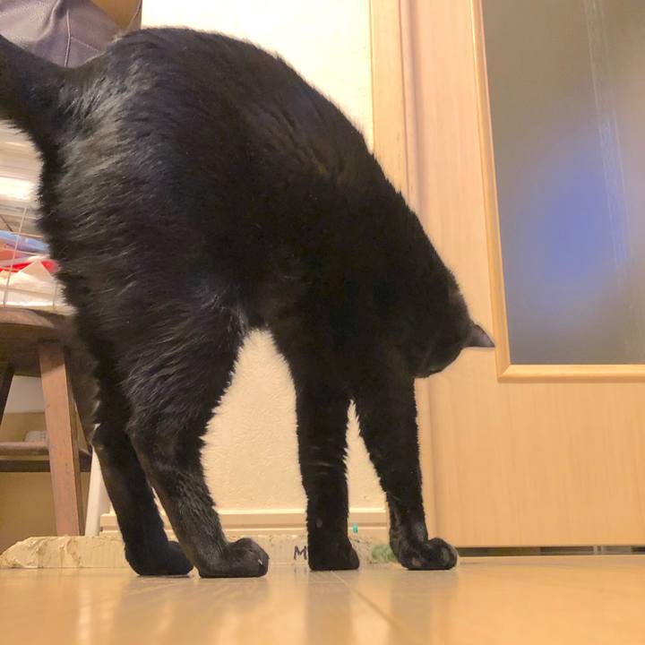 533431a6 031a 4eb2 b3f1 b8aabfe42146 1517407408307