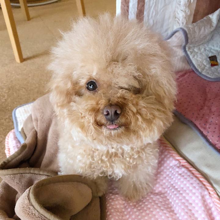 533454f3 ddcc 41d1 aa62 c5dedb9ae376 1530315583107