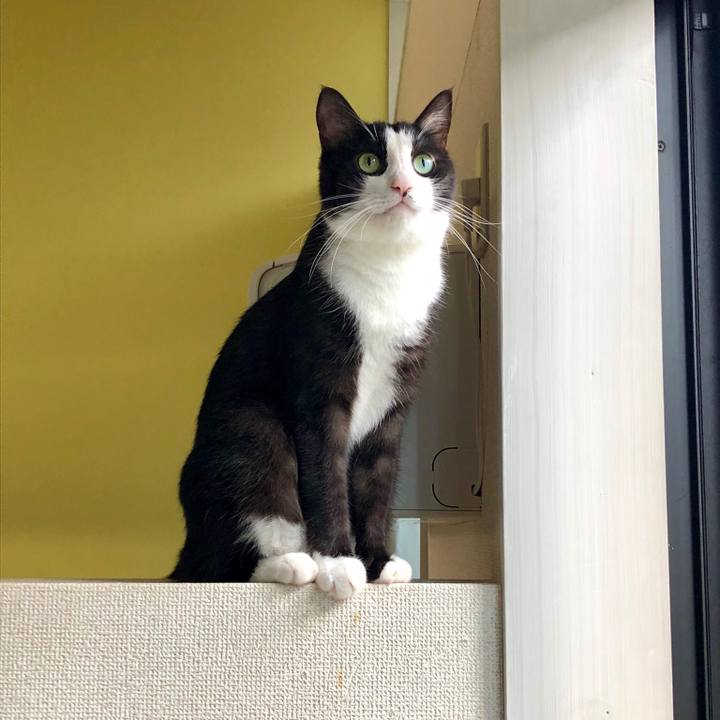 53345e3d 233f 4e5b b749 6e67acf65198 1538452981745