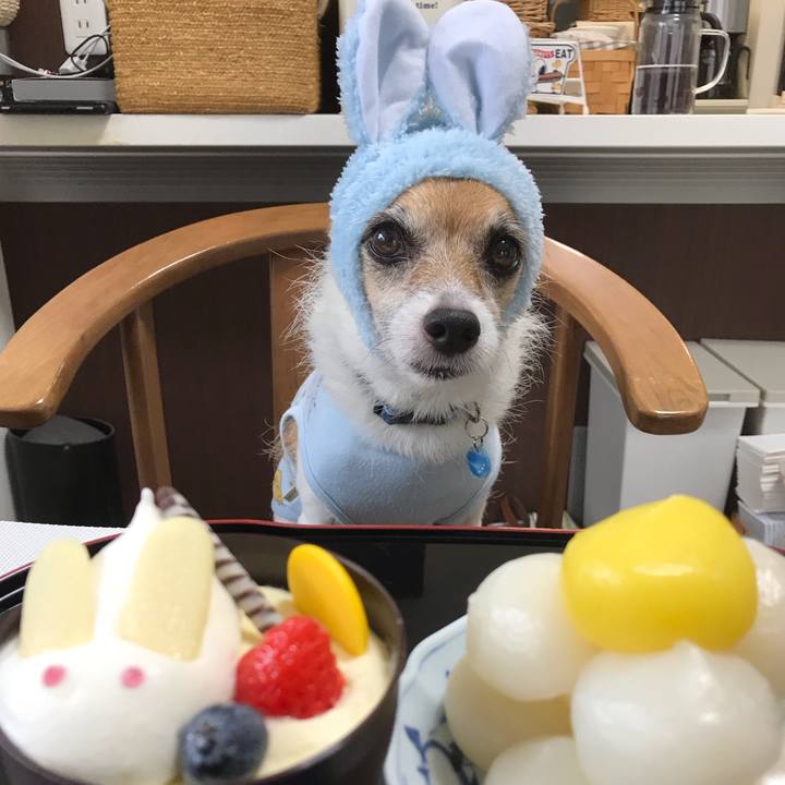 53349a7f 8504 42ac 829a dd08d327c903 1568368807340