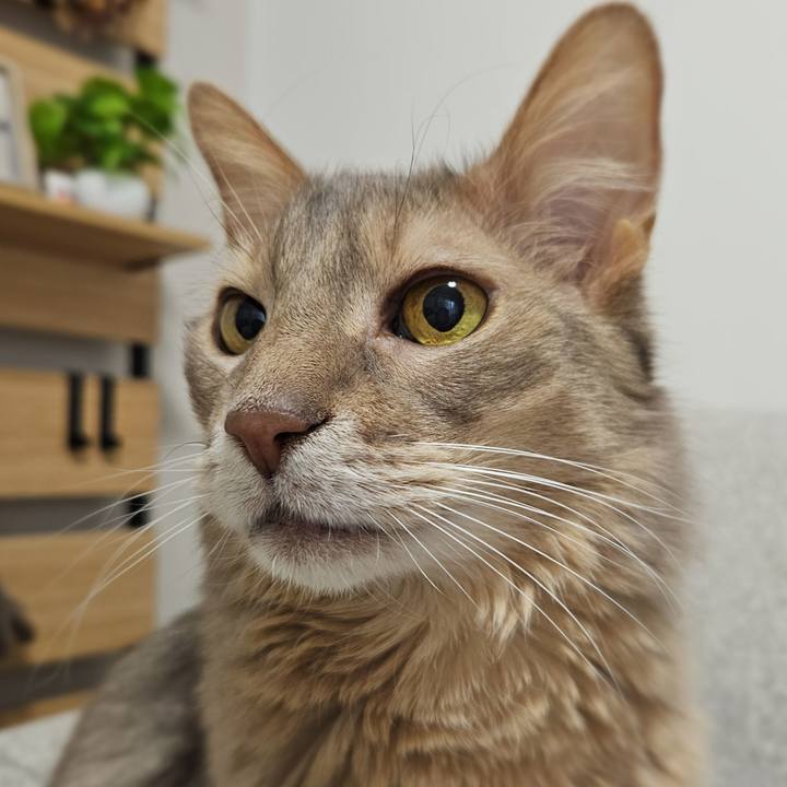 53349d84 88da 4c08 bb9d 0ac6f662c7c0 1770423080495