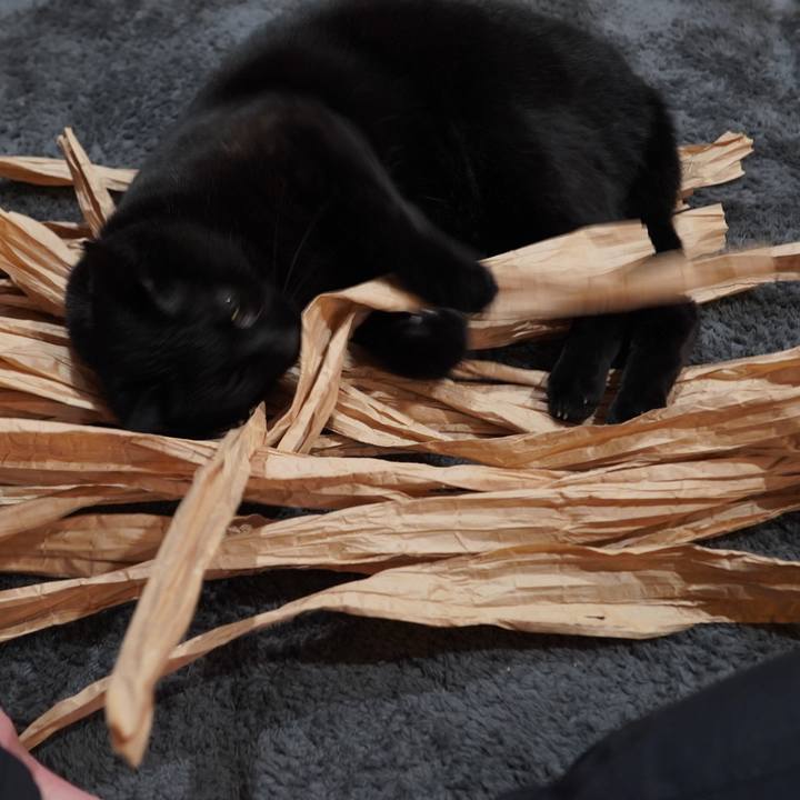 5334ae4b e871 41d1 9032 dc47d78e1543 1614435033736