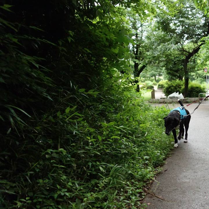 5334d61f 8413 4df6 aa5a 00ccd948808d 1748647723287