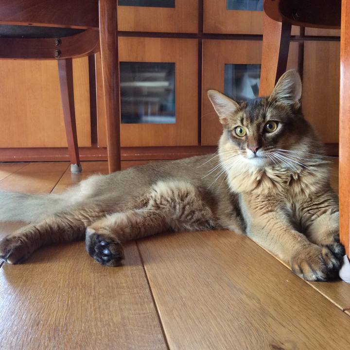 5334d737 115c 44d1 8bdc 8ef123f48b5b 1590889597649