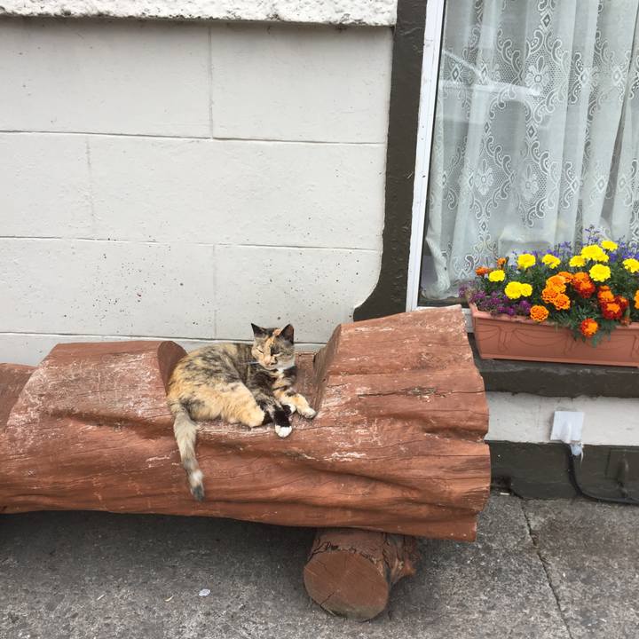 5334e394 3bfa 4b7f be01 be1d34355bbd 1533543551425