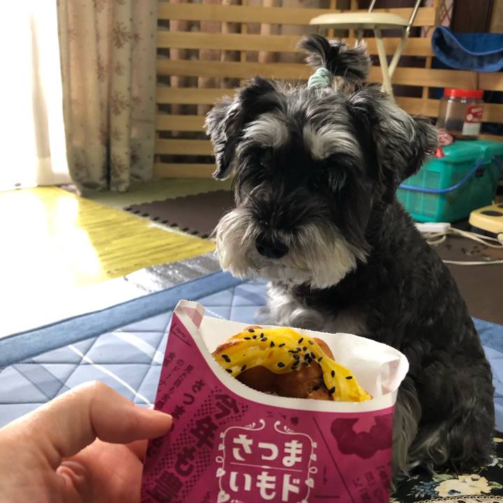 53353d85 5f55 4d9a 8a5a f2143fb50cec 1666491396899