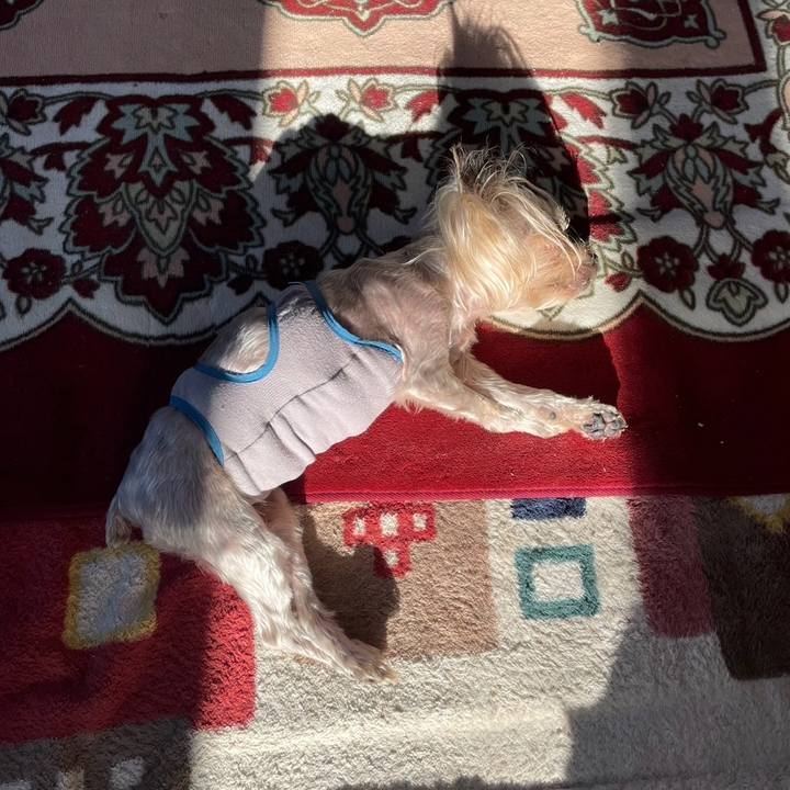 53354ecd 3a23 442b b8d1 3e953a541a59 1711963722412