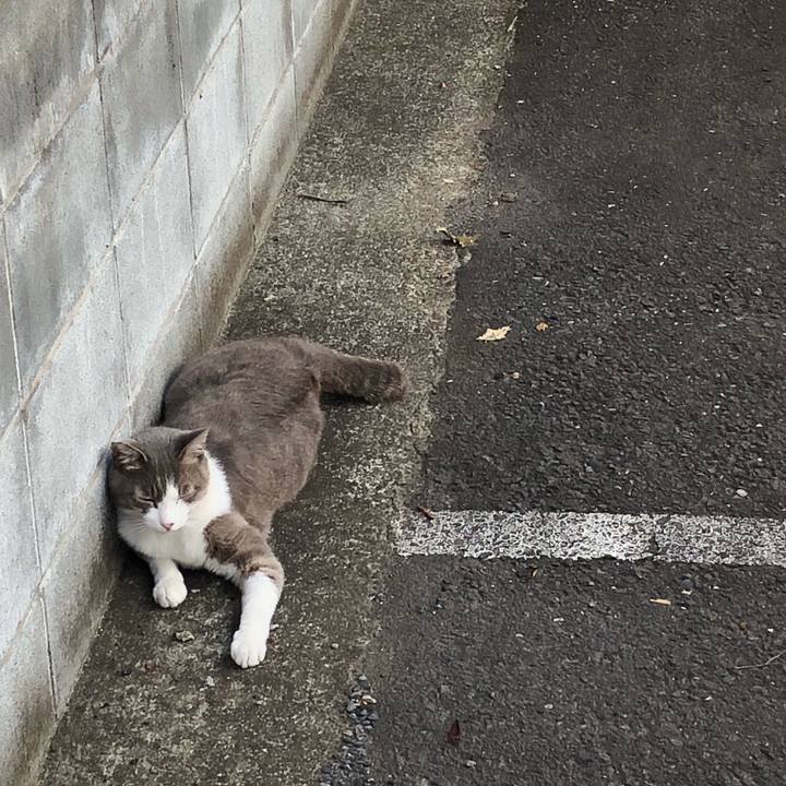 5335509e 3a47 4553 ac5d 1704cae3bd77 1529942638527