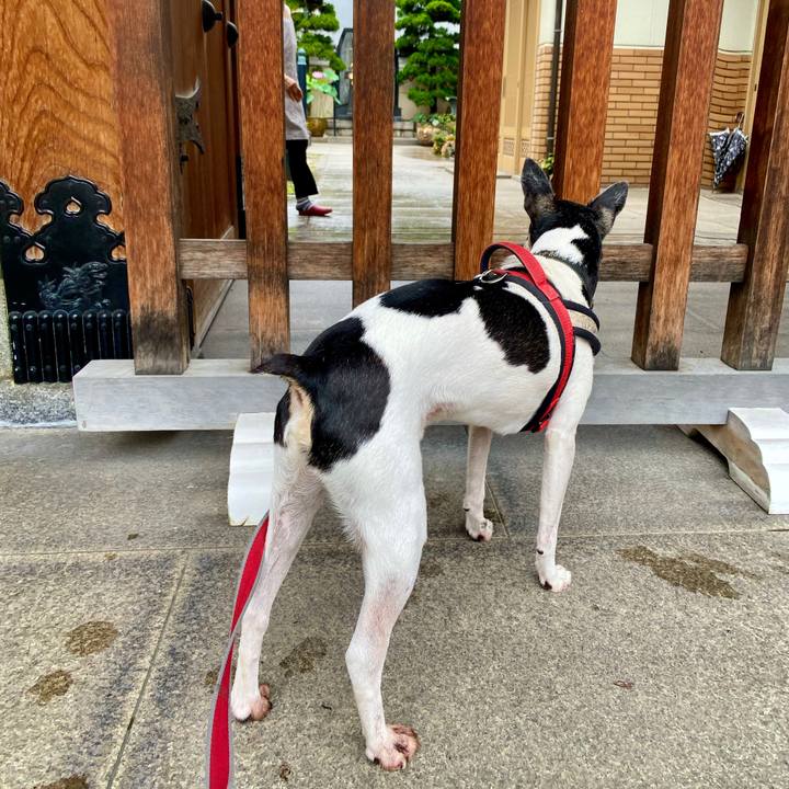 53356243 a553 4132 99a2 3daf2bc29c59 1595552645506