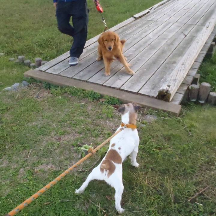 5335c4e6 e980 4ed1 ab83 09e7f9a09747 1539589436982