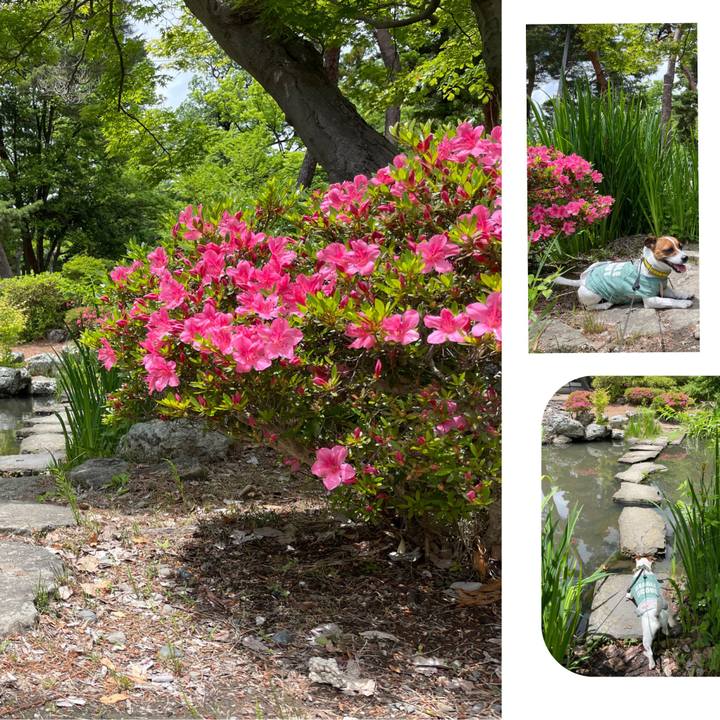 5335d7f9 f8b3 4719 9fe6 3fec84ba75b6 1654677622163