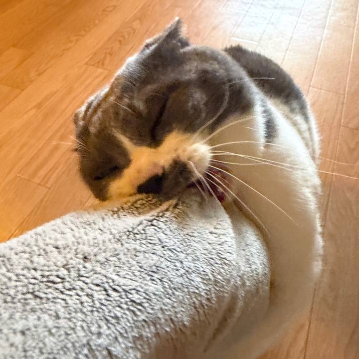 5335f099 caf3 4ff5 b54c 98f19b0e902d 1766962725567