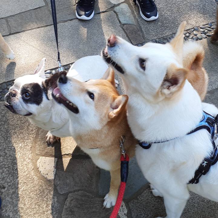 533628df d80d 458b 9343 887133bcebd4 1653782473628