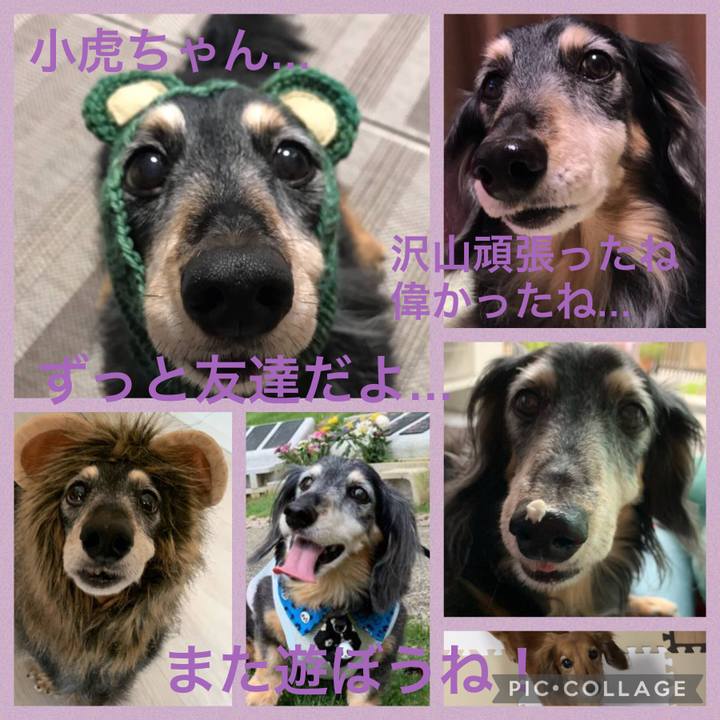 53366cf9 abdd 4a95 bd65 38be46c7e1b8 1625492797567