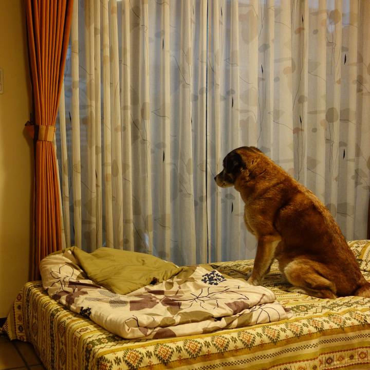 53369b2e 596c 47c0 aa98 3d95d54ee77c 1667612031475