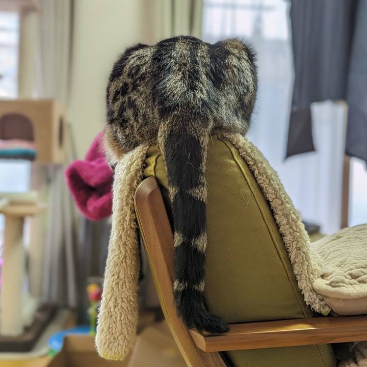 5336b9d5 3b17 4b61 a059 77578bf7e121 1685497238351