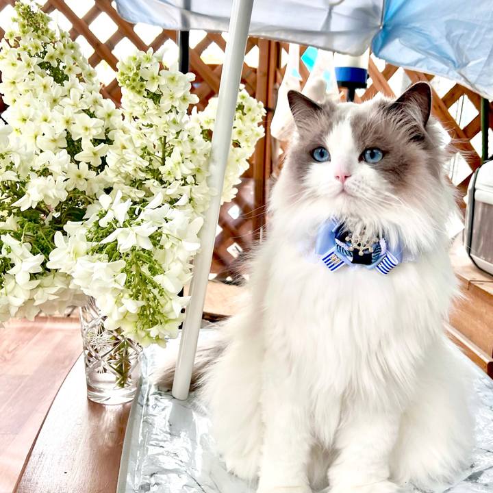 5336de7b 8a04 4644 944b 83ce5eb365b2 1657319907095