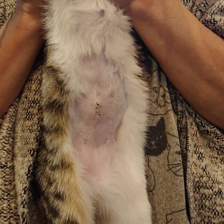 53371bb5 18c3 4aa9 9bf2 c3f3d1c53158 1550585981974