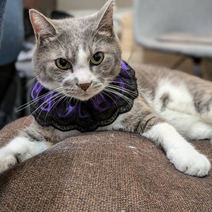 53377969 334a 4313 8705 58a9aeeb70a7 1726393736178