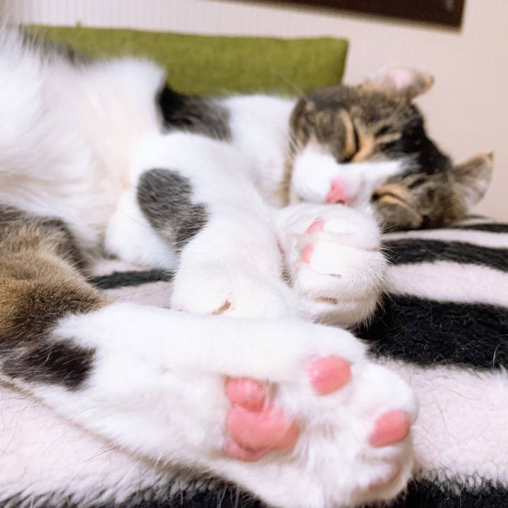 53378cd1 c47e 482b 87c5 fc1ddef88a74 1559393256599