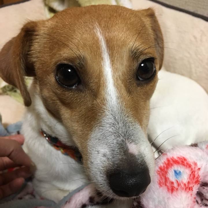 5337beda 9fac 4854 b32d 43d177590522 1509705081004