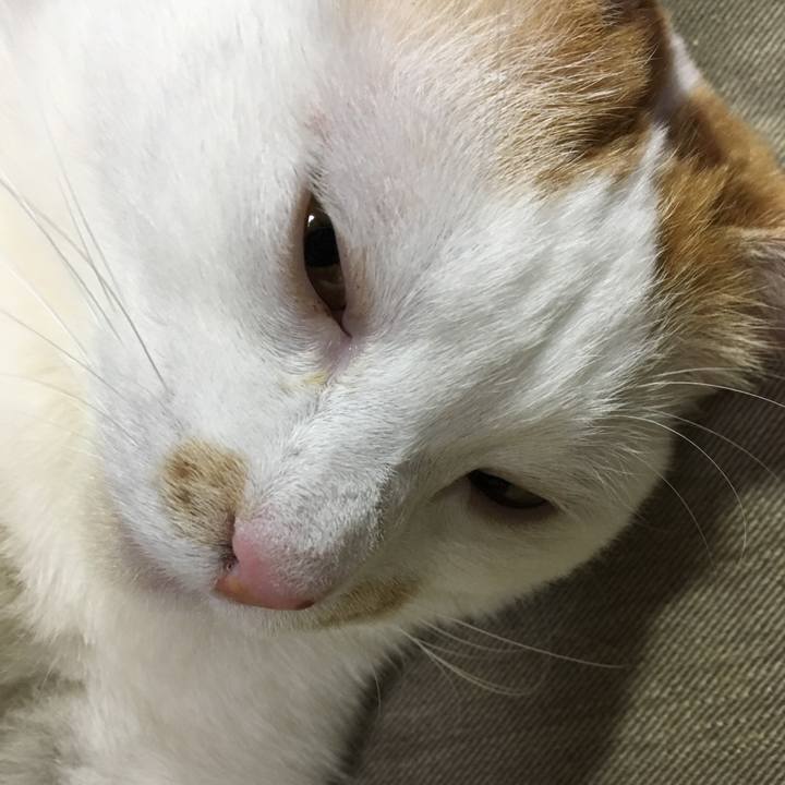 5337e750 cb69 4926 bb22 babd95cb3d6e 1555677922055