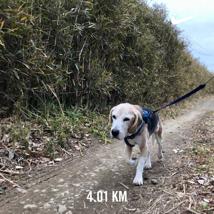 5337e898 c4fd 4912 b9b2 6b5e6fe7fb27 1611494837788