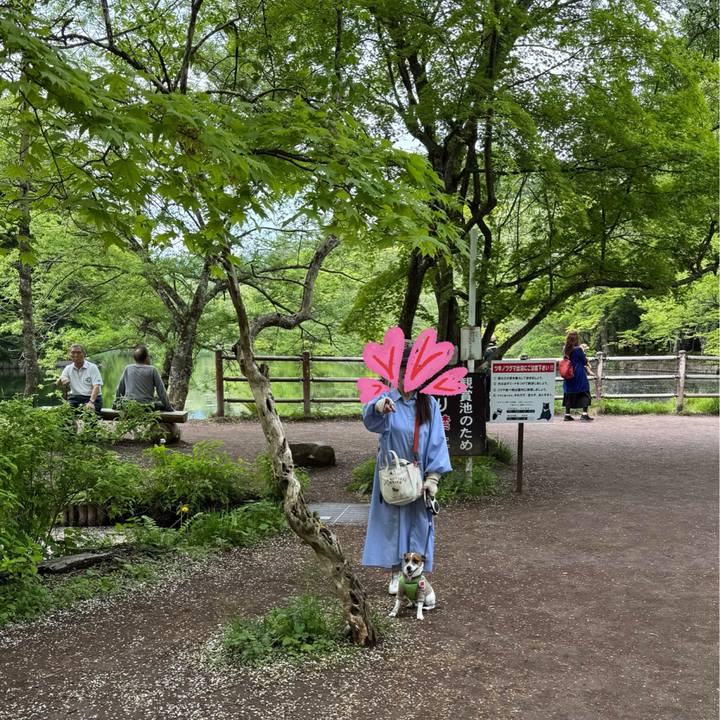 53380898 1da4 4c8c 9659 50ead7052fa9 1747562970875