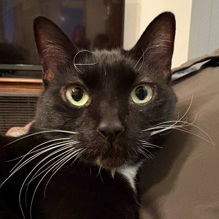 53381ffa 6ae8 4d15 8447 be8dd73c3068 1767520028518