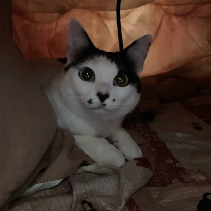 5338239b b868 4e77 96c7 05d6597c3a4a 1768134636735