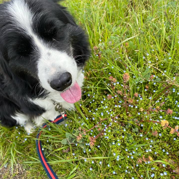 533840a8 d72a 489d 9852 0472007114dd 1647832418009